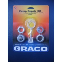 Reparatursatz Packungen für Graco Airless EM 5000 - 220877
